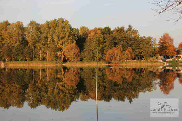 Herbstlaub