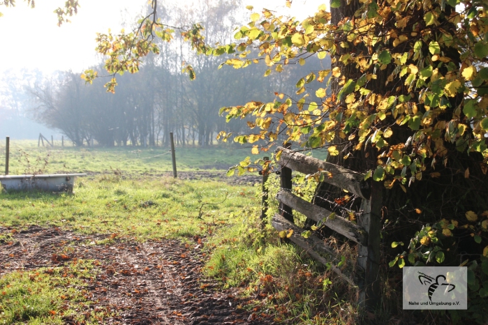 Volkstrauertag/Totensonntag
